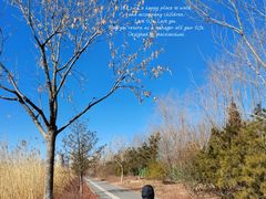 -永定河休闲森林公园