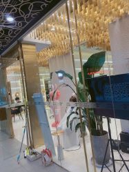 点击看大图 -3AM·S HAIR SALON烫发染发接发