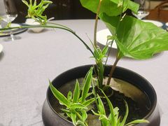 -花锦堂·隐庐