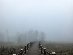 -凤凰山国家森林公园