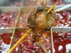 -谭记重庆老火锅(总店)