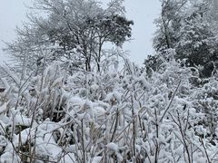 -九峰山