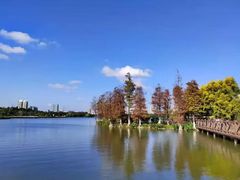 -海珠湖公园