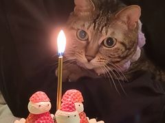 -橙呦·私人定制生日蛋糕