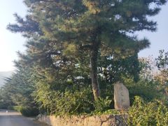 -北京鹫峰国家森林公园