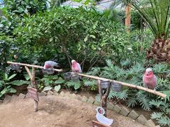 -南宫五洲植物乐园