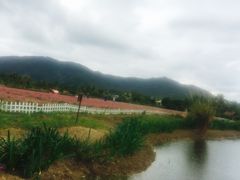 -亚龙湾国际玫瑰谷