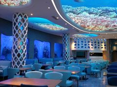 -瑞德姆美人鱼海底演艺主题餐厅(亚龙湾店)