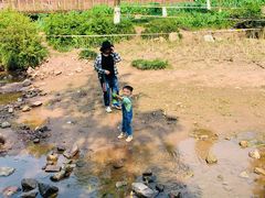 -重庆彩云湖湿地公园