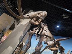 -国家自然博物馆