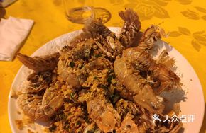 Mantis Shrimp