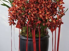 -F.Story 花和故事(新天地店)