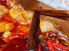 -小龙坎火锅(泉舜店)