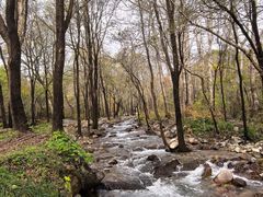 -玉渡山自然风景区