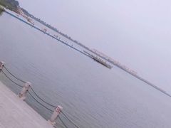 -包头南海湿地景区