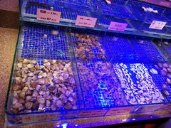 -青蓬蒸汽海鲜·深圳老字号·团建聚会(壹方城店)