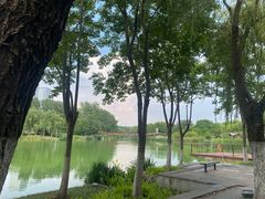 -滨湖塘西河公园