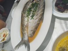 鸡汁蒸太湖白鱼-蠔友汇·海鲜·生蚝烧烤(大东店)