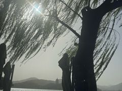 -柳莺湖上·湖景餐厅·江南菜(西湖店)