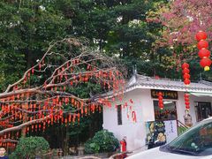 -广州市帽峰山景区