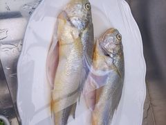 -龍歌自助小火锅(市南金茂湾店)