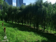 -长春公园(普阳街道)