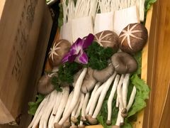 -潘小辣鲜肉老火锅