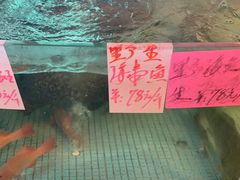 -淇沙湾渔村餐厅