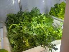 -金鼎雪山牦牛杂火锅(理县总店)