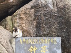 -九华山风景区
