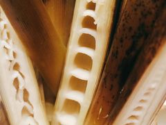 -解家河南菜(商鼎路店)