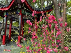 -南汇桃花村