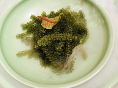 海葡萄-荟廷·晶萃(陆家嘴尚悦湾店)