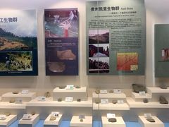 -辽宁古生物博物馆