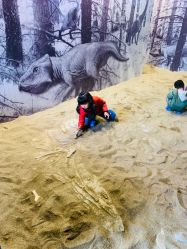 -恐龙探索乐园(磁器口店)