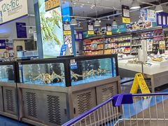 -麦德龙(郑东店)