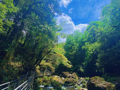 -龙苍沟森林公园