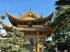 -上海东林寺(金山区)