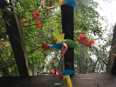 -白马涧龙池景区
