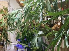 -Rabbit Cafe私房西餐甜点咖啡(栖霞路店)