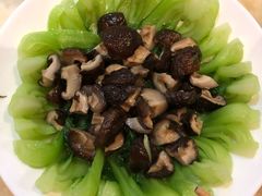 -好孕妈妈月嫂(重庆总店)