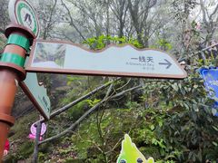 -三清山风景名胜区