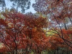 -岳麓山风景名胜区