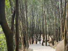 -火炉山森林公园