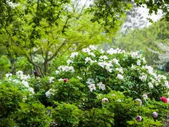 -江南大学(蠡湖校区)