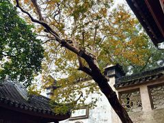 -东山雕花楼