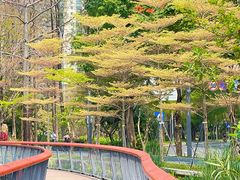 -四海公园(南山区)