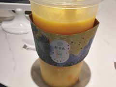 -野萃山·潮汕厚果汁(十亩地店)