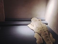 -三秋舍·梦幻岛(小西路店)