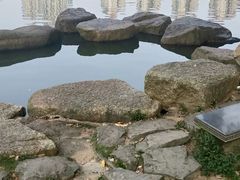 -珠海圆明新园